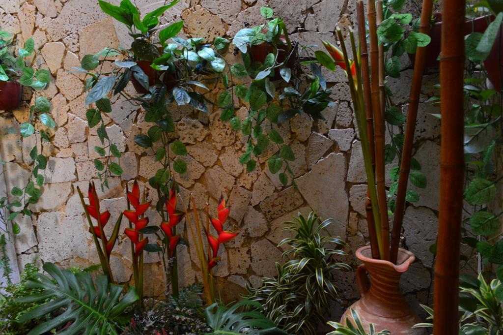 Hotel Torre Del Reloj Cartagena Екстериор снимка
